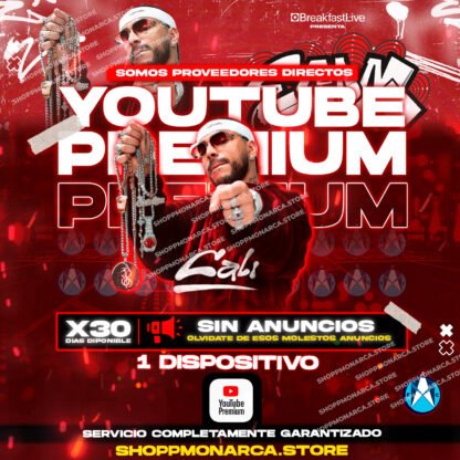 PANTALLA DE YOUTUBE PREMIUM 1 MESES